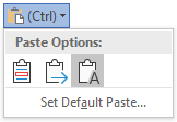 Paste Options button in MS Office