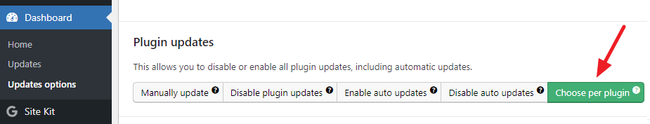 Easy Updates Manager Settings
